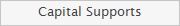 Capital Supports