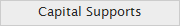 Capital Supports